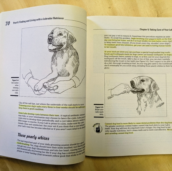 Labrador Retrievers for Dummies Paperback - Picture 5 of 8